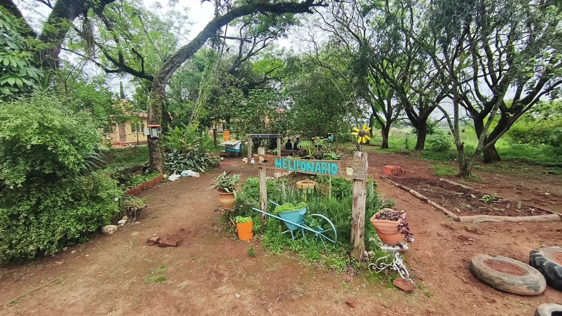 Meliponário