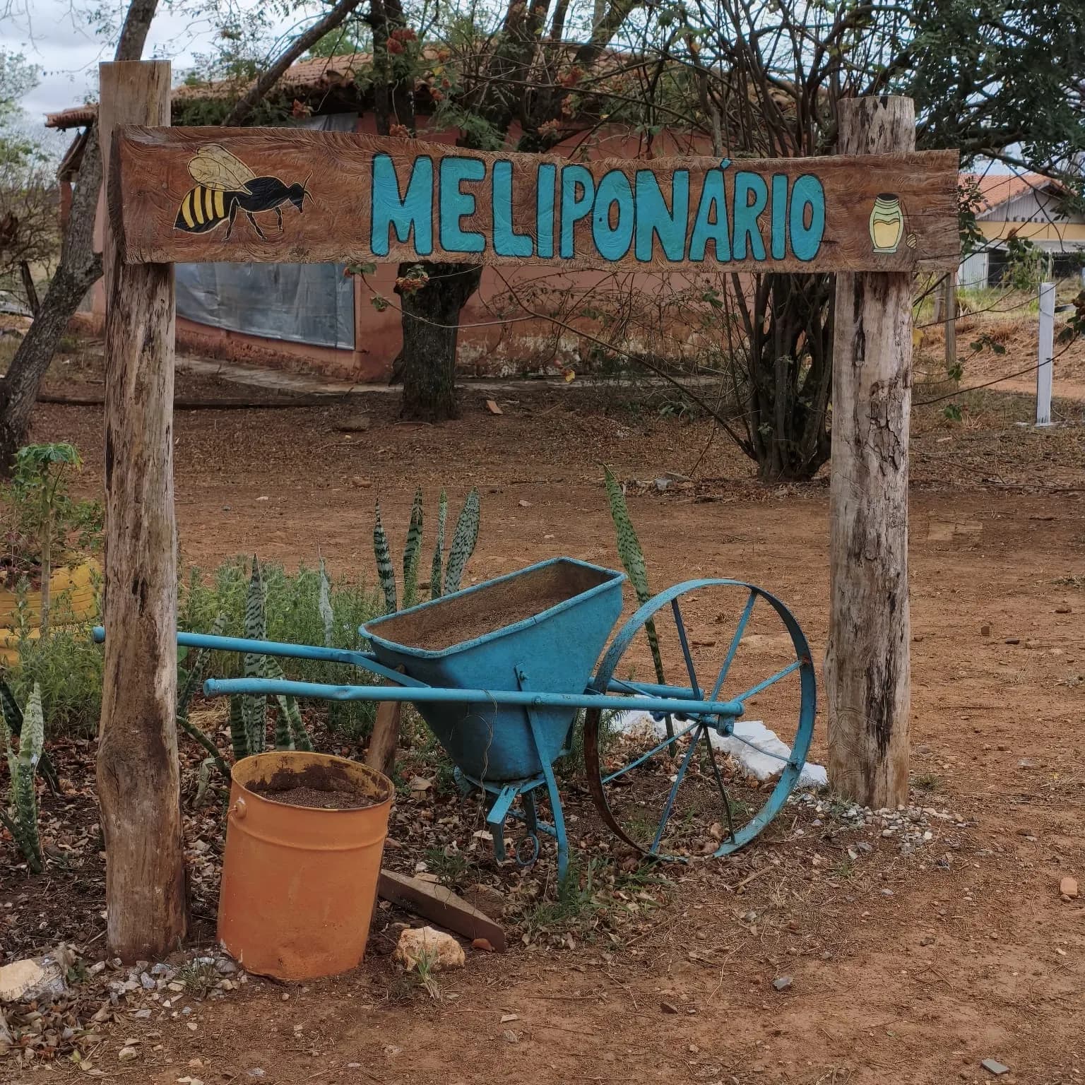 Meliponário escolar