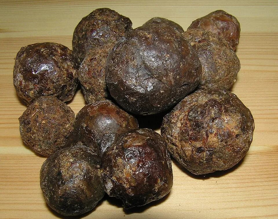 Pedaços de própolis escura sobre madeira